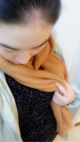 journal_insert_pic_121911311
