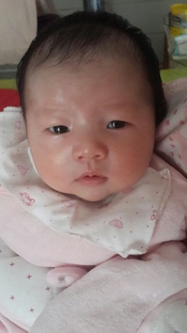 journal_insert_pic_122437540