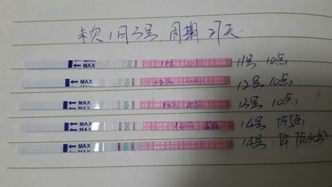 journal_insert_pic_123102584