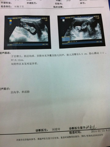 journal_insert_pic_123132322