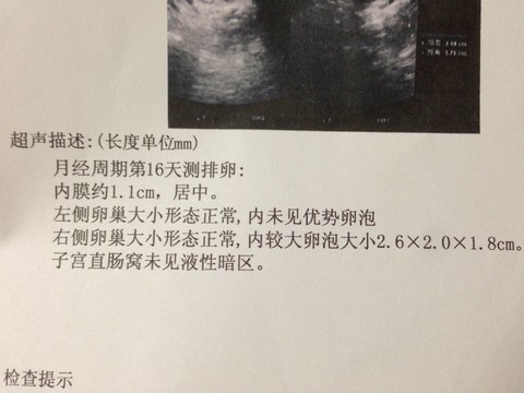 journal_insert_pic_123908183