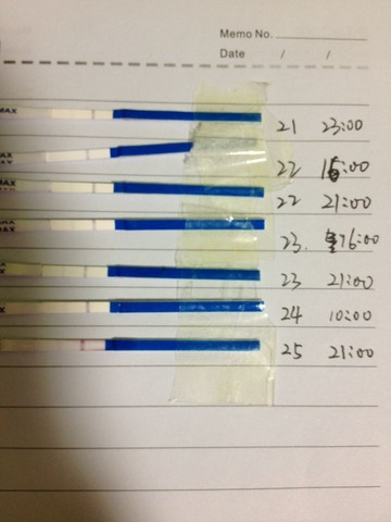 journal_insert_pic_124029852