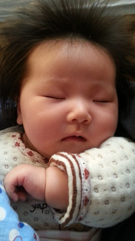 11.8同一天出生的宝都来亮相咯_很多没爬树了,宝贝头一个月_宝宝树