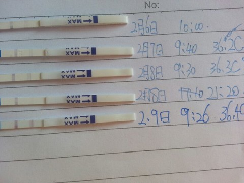 journal_insert_pic_124969185
