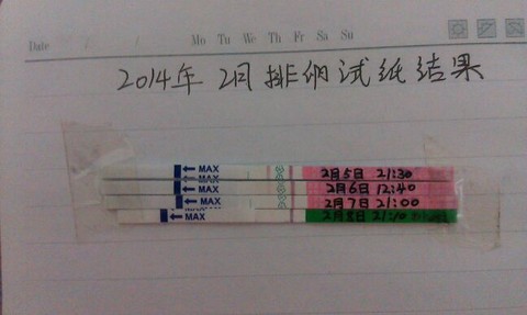 journal_insert_pic_124972311