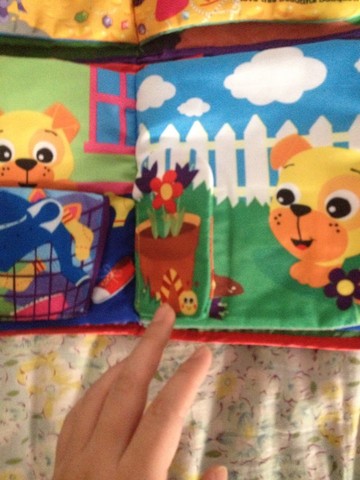 journal_insert_pic_125166336