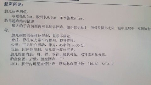 journal_insert_pic_125397054