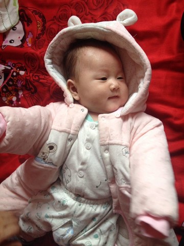 journal_insert_pic_125487732