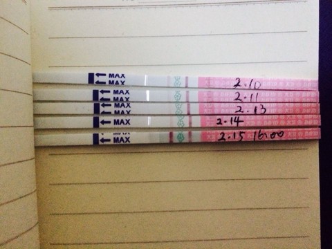 journal_insert_pic_125616983