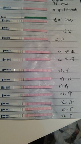 journal_insert_pic_126107155
