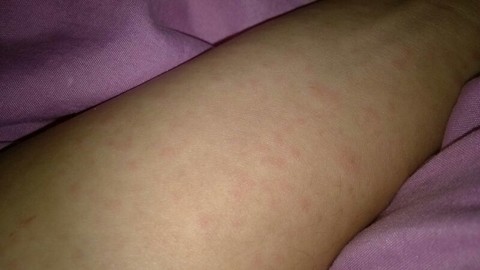 journal_insert_pic_126129943