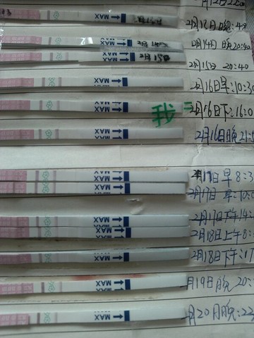 journal_insert_pic_126281163