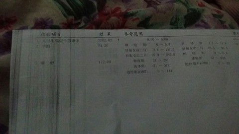 journal_insert_pic_126549830