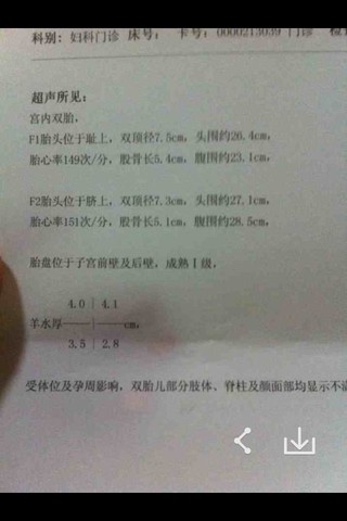 journal_insert_pic_126713120