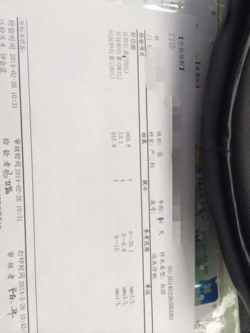 journal_insert_pic_127043290
