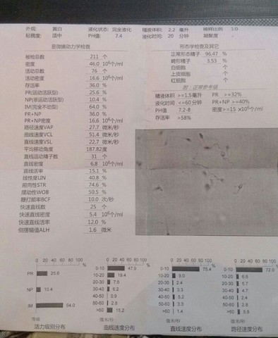 journal_insert_pic_127097057