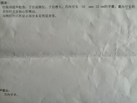 journal_insert_pic_127315946
