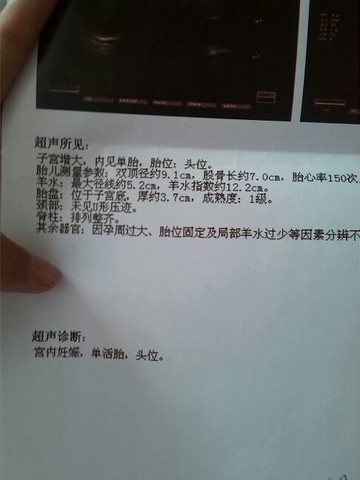 journal_insert_pic_127564238