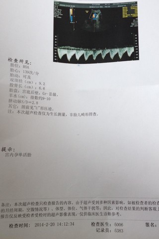 journal_insert_pic_127620481