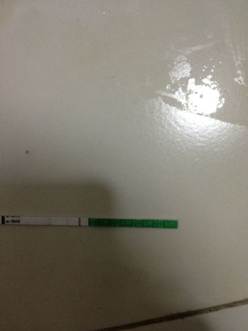 journal_insert_pic_127634451