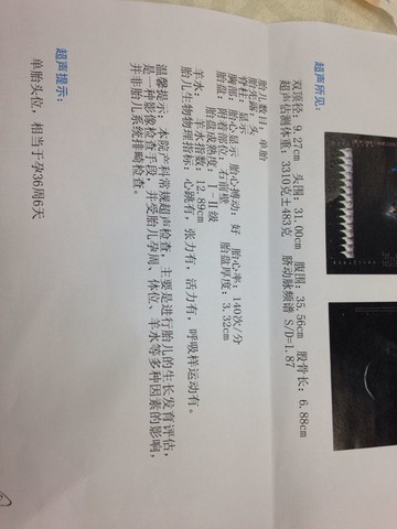 journal_insert_pic_128394349