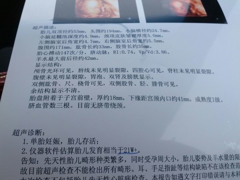 journal_insert_pic_128921936