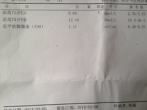 journal_insert_pic_129024621