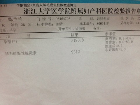 journal_insert_pic_129053167