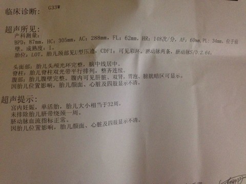 journal_insert_pic_129690026