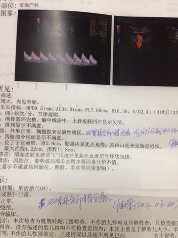 journal_insert_pic_129650175