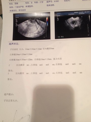 journal_insert_pic_130159297