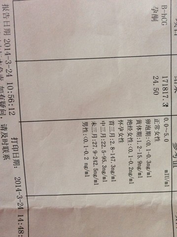 journal_insert_pic_130293561