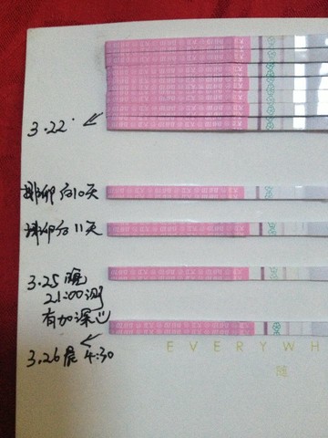 journal_insert_pic_130348851