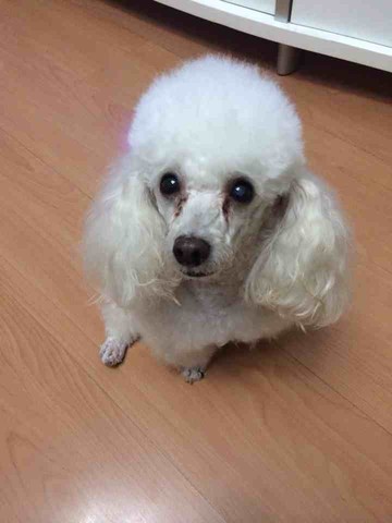 的姐妹都晒晒照片啊                                  回复  潘狗狗