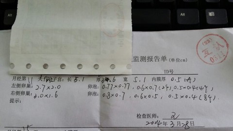journal_insert_pic_130639574