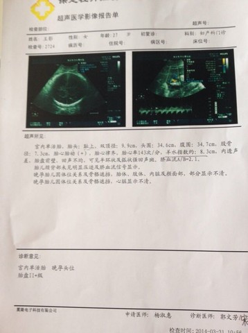 journal_insert_pic_131029392