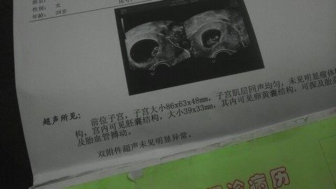 journal_insert_pic_131583425