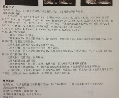 journal_insert_pic_132221663