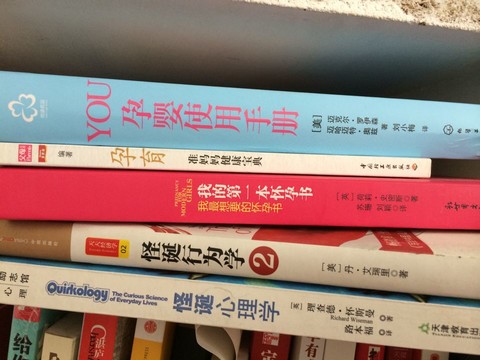 journal_insert_pic_133246890