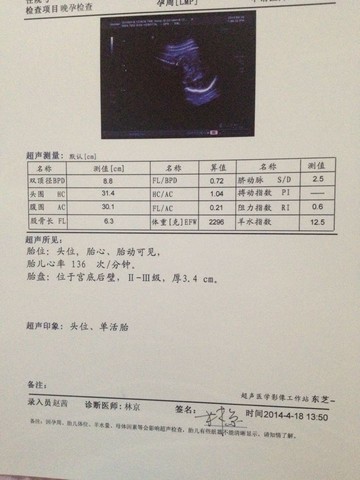 journal_insert_pic_133411428