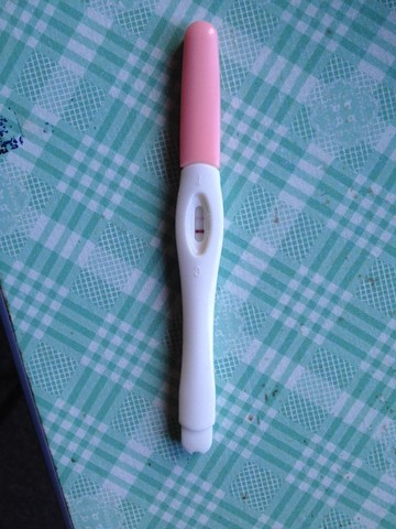 journal_insert_pic_133996329
