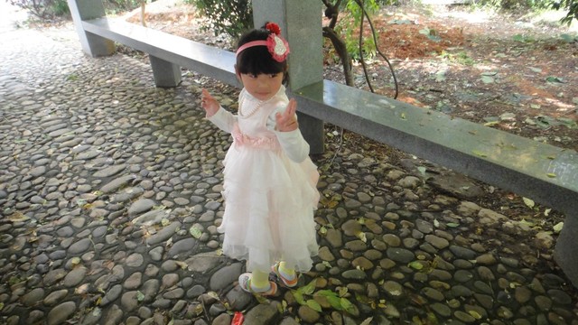 journal_insert_pic_134717623
