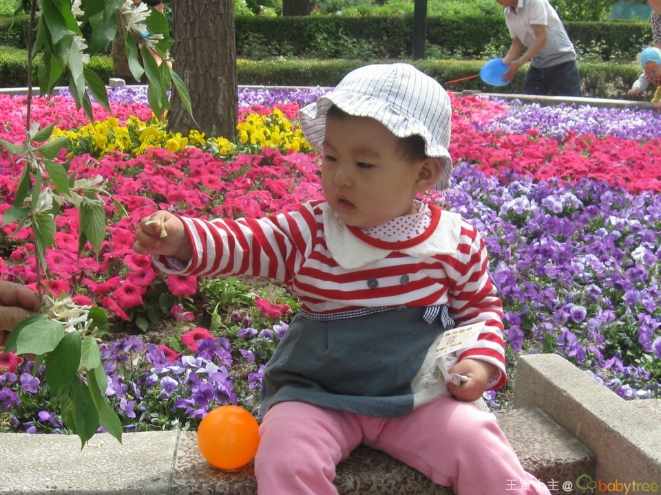 journal_insert_pic_134906857