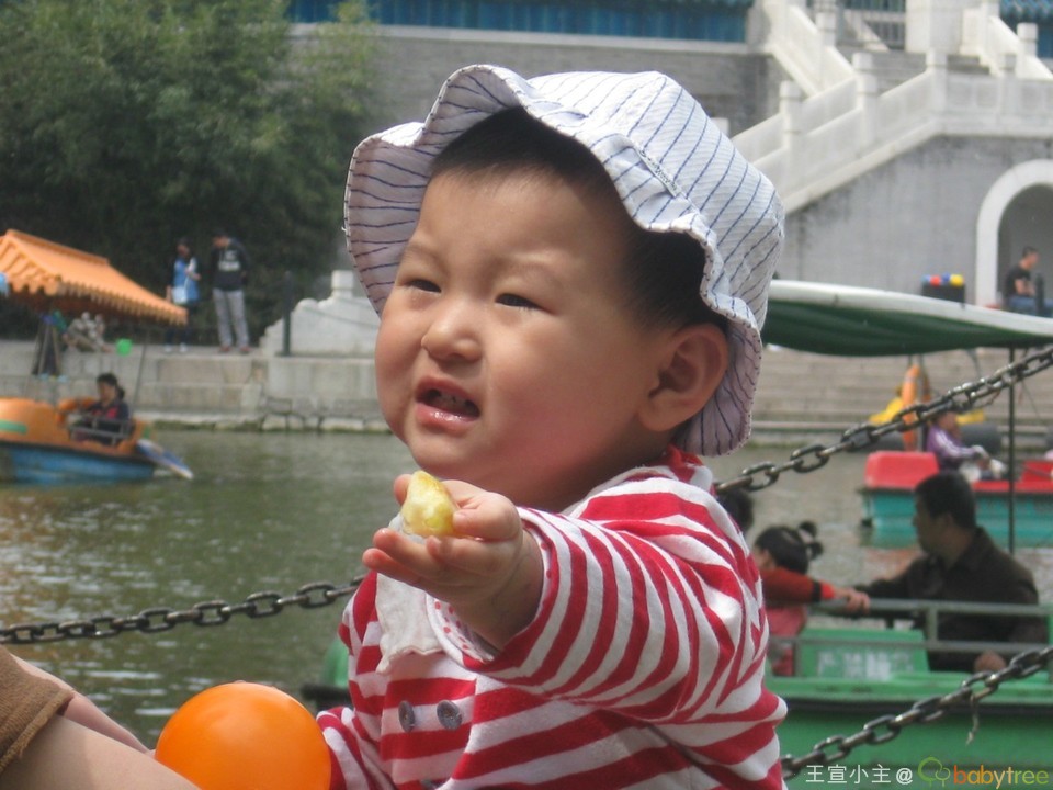 journal_insert_pic_134907414