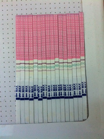 journal_insert_pic_135117344