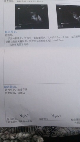 journal_insert_pic_135222560