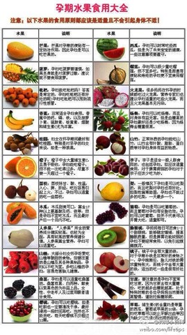 journal_insert_pic_135505935
