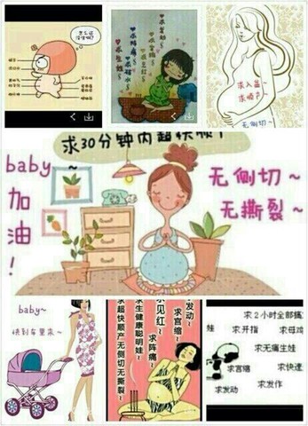 journal_insert_pic_135839693