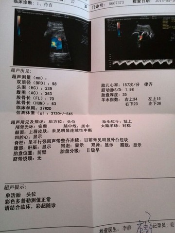 journal_insert_pic_136217617