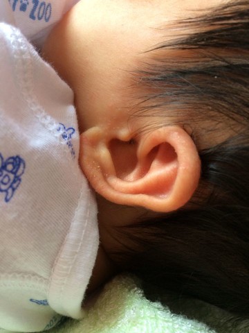 journal_insert_pic_136944299